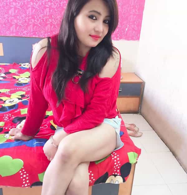 Udaipur  escorts service